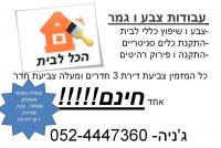 עבודות צבע במרכז
