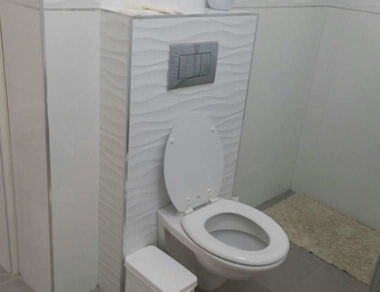 ניאגרה סמויה מחיר