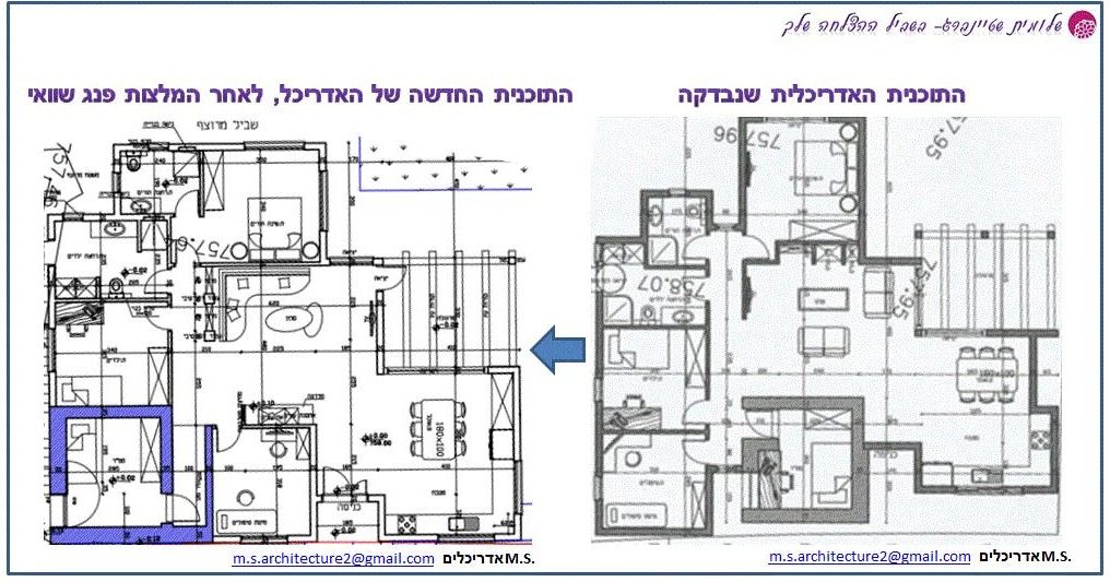 יועצת פנג שואי
