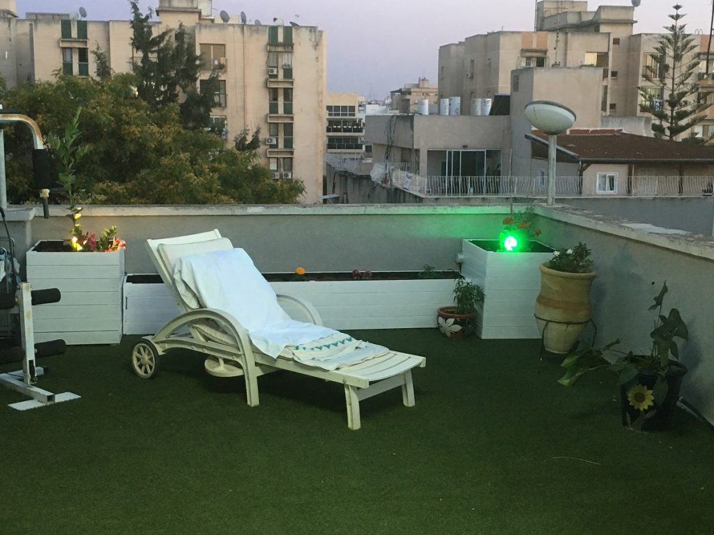 גינה מעוצבת על הגג